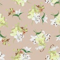 Lilies and orchids almond seamless vector background Royalty Free Stock Photo