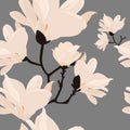 Lilies seamless pattern. Magnolia flowers in delicate pastel tones. Royalty Free Stock Photo