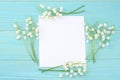 lilies of the valley with white paper on a blue wooden background. top view with copy space Royalty Free Stock Photo