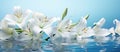 lilies of white flowers and lily grass on a bright bluewhite background,