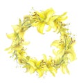 Lilies Yellow flower, calla lilies, craspedia, Solidago Frame wreath isolated on white background. Watercolor hand drawn Royalty Free Stock Photo