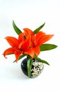 Lilium Royalty Free Stock Photo