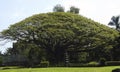 Liliuokalani Gardens, Hilo, Big Island, Hawaii, United States Royalty Free Stock Photo