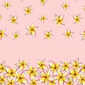 Handpainted Lillies on a soft Living Coral Background, Header, Cover