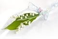Lillies with romantic bow Royalty Free Stock Photo