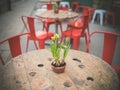 Lillies on a table in the street Royalty Free Stock Photo