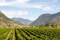 Lillooet British Columbia Canada Vineyard