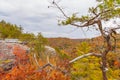 Lilly Bluff Overlook at Obed Royalty Free Stock Photo