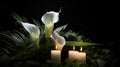 Lilly and burning candels in darkness Royalty Free Stock Photo