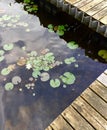 Lilly pads, a dock, and a lake Royalty Free Stock Photo
