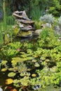 Lilly pads, water plants, reeds and succulents growing in a koi fish japanese pond in a home backyard. View of a Royalty Free Stock Photo