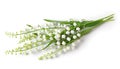 Lilly of the valley flowers isolated on white background with clipping path and full depth of field. Top view Royalty Free Stock Photo