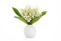 Lilly of the valley flowers and leaves isolated on white background Royalty Free Stock Photo