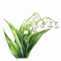 lilly of the valley flowers on white background generative AI Royalty Free Stock Photo