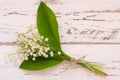 Lilly of the valley flowers on white wooden background. Top view Royalty Free Stock Photo