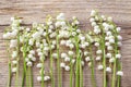 Lilly of the valley flowers on wood Royalty Free Stock Photo