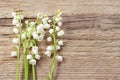 Lilly of the valley flowers on wood Royalty Free Stock Photo