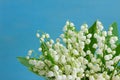 Lilly of the valley