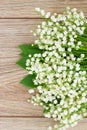 Lilly of the valley posy Royalty Free Stock Photo