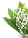 Lilly of the valley posy Royalty Free Stock Photo