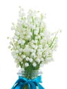 Lilly of the valley posy Royalty Free Stock Photo