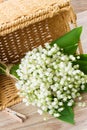 Lilly of the valley posy Royalty Free Stock Photo