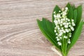 Lilly of the valley posy Royalty Free Stock Photo