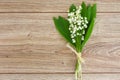 Lilly of the valley posy Royalty Free Stock Photo