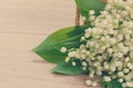 Lilly of the valley posy Royalty Free Stock Photo