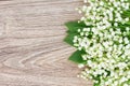 Lilly of the valley posy Royalty Free Stock Photo