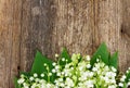 Lilly of valley on wood Royalty Free Stock Photo