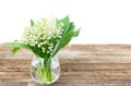 Lilly of valley on wood Royalty Free Stock Photo