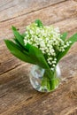 Lilly of valley on wood Royalty Free Stock Photo