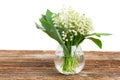 Lilly of valley on wood Royalty Free Stock Photo