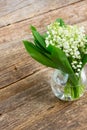 Lilly of valley on wood Royalty Free Stock Photo