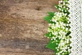 Lilly of valley on wood Royalty Free Stock Photo