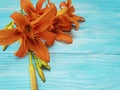 Lily beautiful orange season holiday bouquet gorgeous a blue wooden background vintage