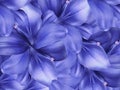 Lily blue flowers. bright blue background. floral collage. flower composition. close-up.