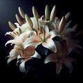 Lily bouquet with dramatic side light. Flowers and plants in spring. AI generated