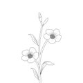 lily flower coloring page drawing for kids activities art with line drawing illustration Royalty Free Stock Photo