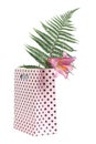 Lily flower and fern in a pink gift bag isolated Royalty Free Stock Photo