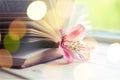 Lily flower in open book on background Royalty Free Stock Photo