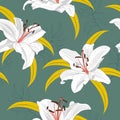 Lily flower seamless pattern on green background, White lily floral