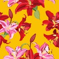 Lily flower seamless pattern on yellow background, Pink and Red lily floral Royalty Free Stock Photo