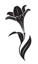 Lily flower vector icon Royalty Free Stock Photo