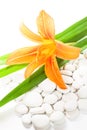 Lily flower and white stones Isolated on white Royalty Free Stock Photo