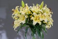 Lily flowers bouquet. Beautiful yellow lillies, big bunch in a vase over grey background Royalty Free Stock Photo