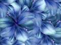 Lily flowers. bright blue background. floral collage. flower composition.