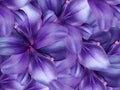 Lily flowers. bright purple background. floral collage. flower composition.