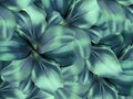 Lily flowers. bright turquoise background. floral collage. flower composition.